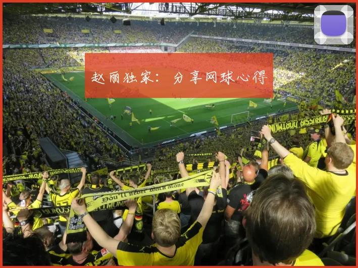 赵丽独家：分享网球心得