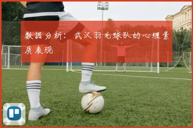 数据分析：武汉羽毛球队的心理素质表现