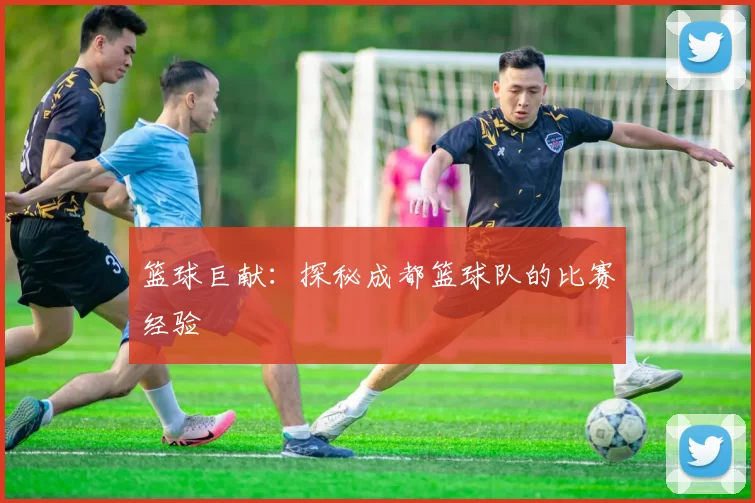 篮球巨献：探秘成都篮球队的比赛经验