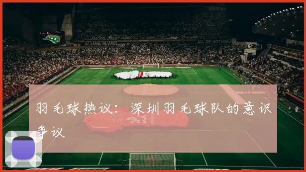 羽毛球热议：深圳羽毛球队的意识争议