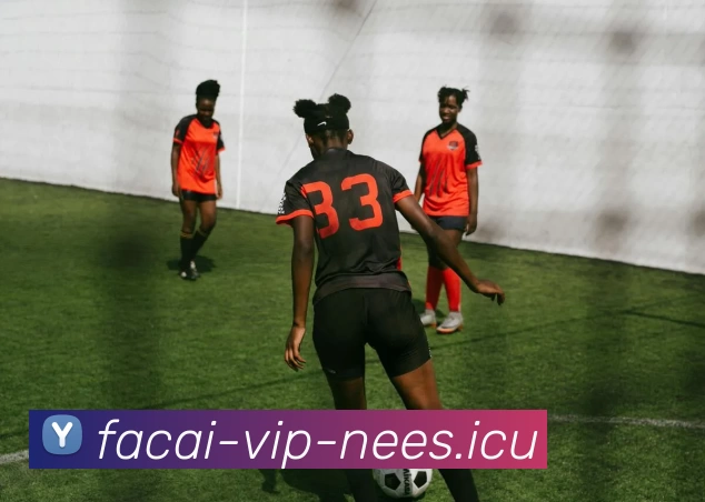 华体会体育平台生态图