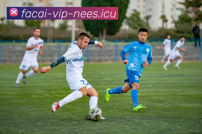 华体会体育全站App